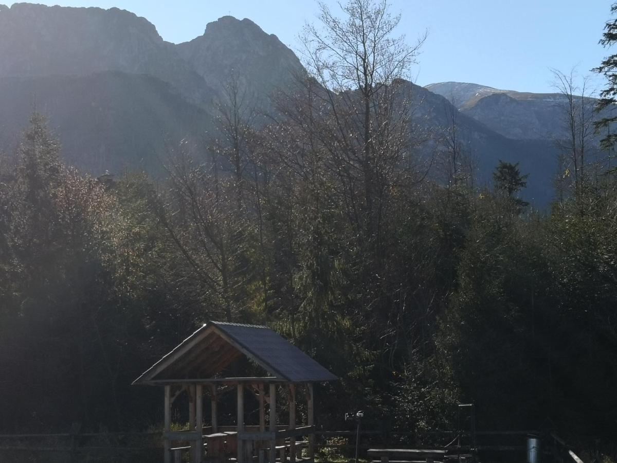 Willa Nika, Apartamenty Zakopane Eksteriør bilde