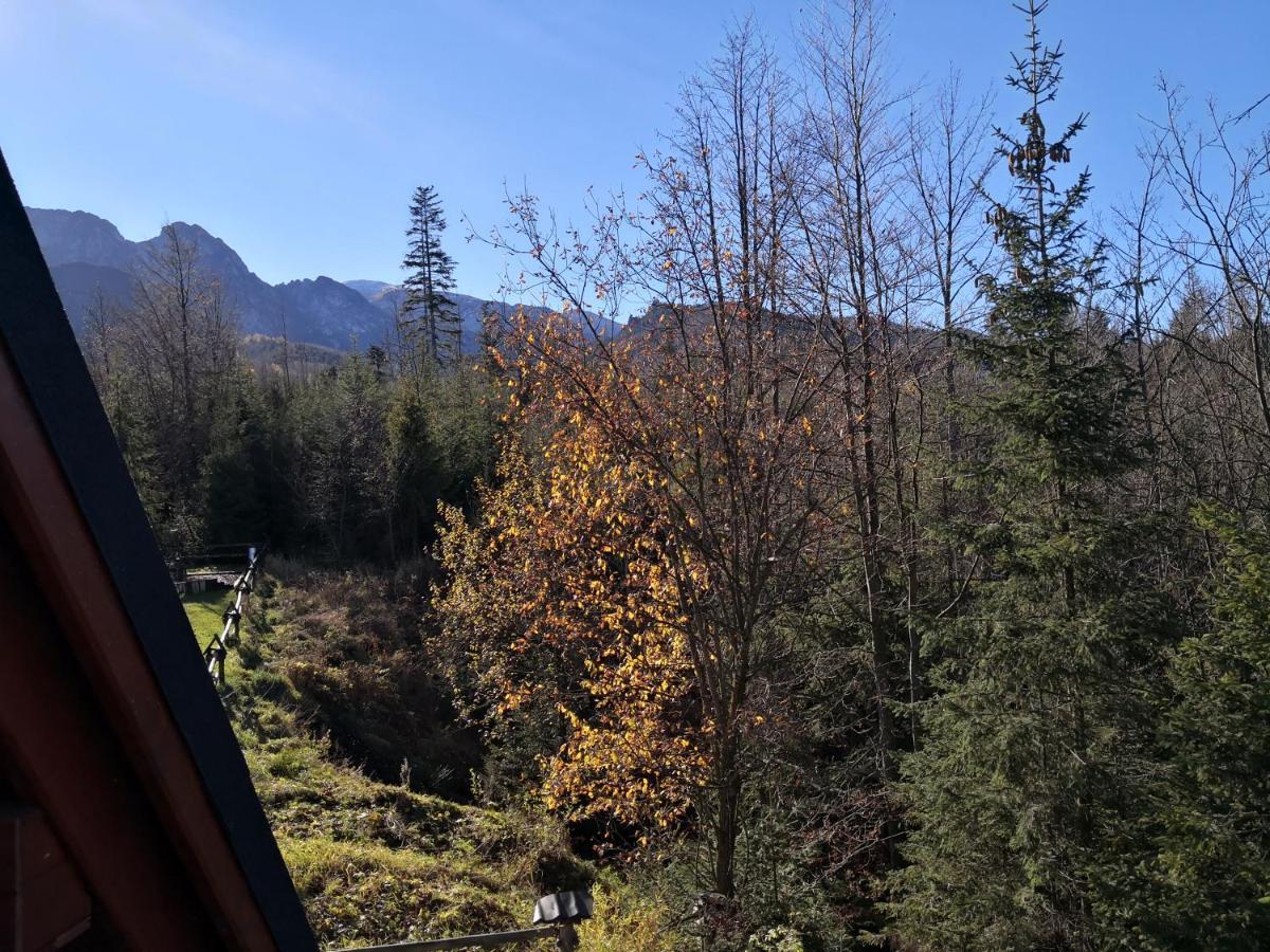 Willa Nika, Apartamenty Zakopane Eksteriør bilde